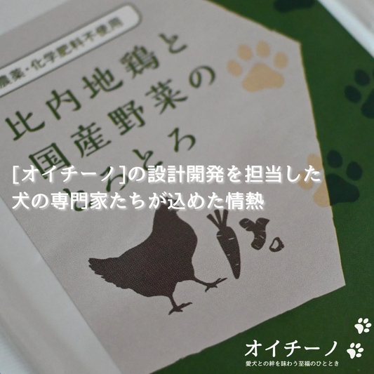 設計と開発を担当した専門家たちが込めたオイチーノへの思い